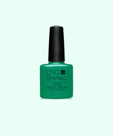 SHELLAC ART BASIL